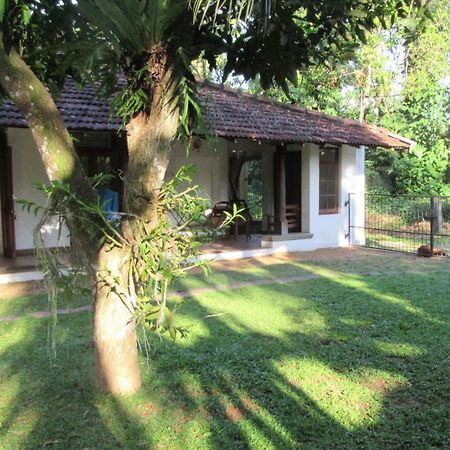 Sagala Bungalow Hotel Kalutara Exterior photo