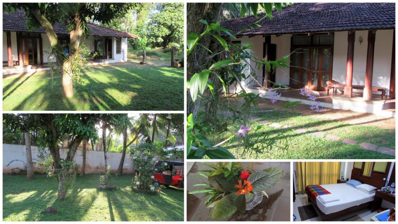 Sagala Bungalow Hotel Kalutara Exterior photo